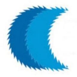 Security in Shredding logo